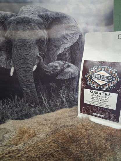 Sumatra Asman Gayo Coffee