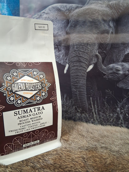 Sumatra Asman Gayo Coffee